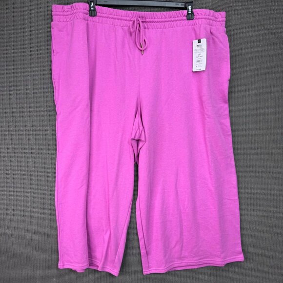 Terra & Sky 3X (24W-26W) TS Knit Capri Pants Orchid Shimmer - Picture 1 of 8